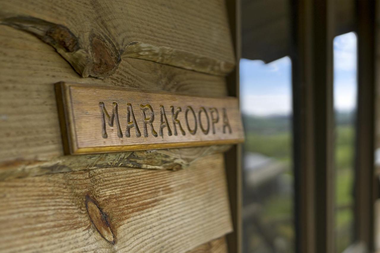 Mole Creek Cabins Εξωτερικό φωτογραφία