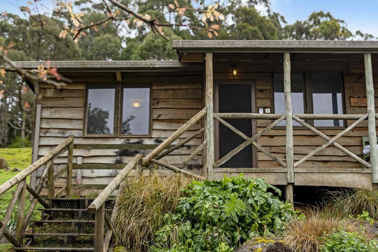 Mole Creek Cabins Εξωτερικό φωτογραφία